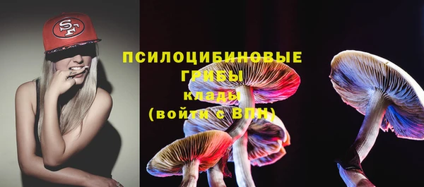 соль ск Богданович