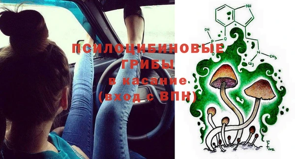 стаф Баксан