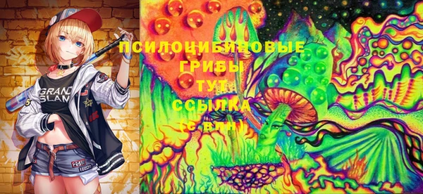 стаф Баксан