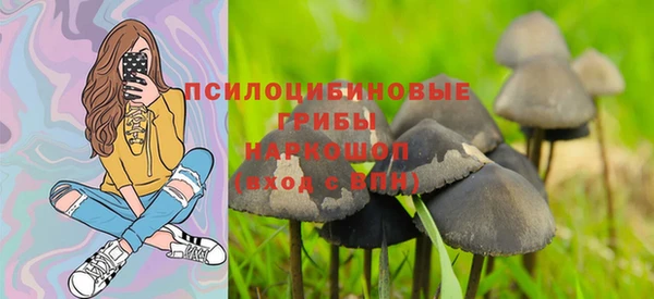 стаф Баксан
