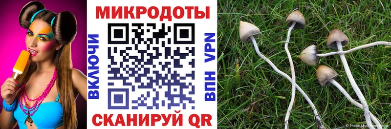 Галлюциногенные грибы мухоморы  Улан-Удэ 
