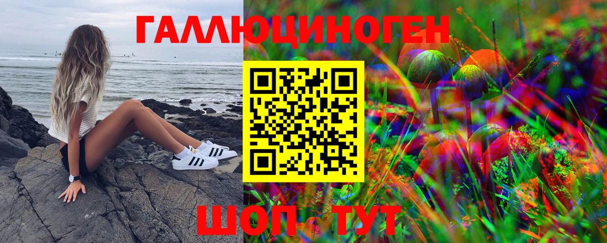 Псилоцибиновые грибы GOLDEN TEACHER  Вход с VPN  Улан-Удэ 